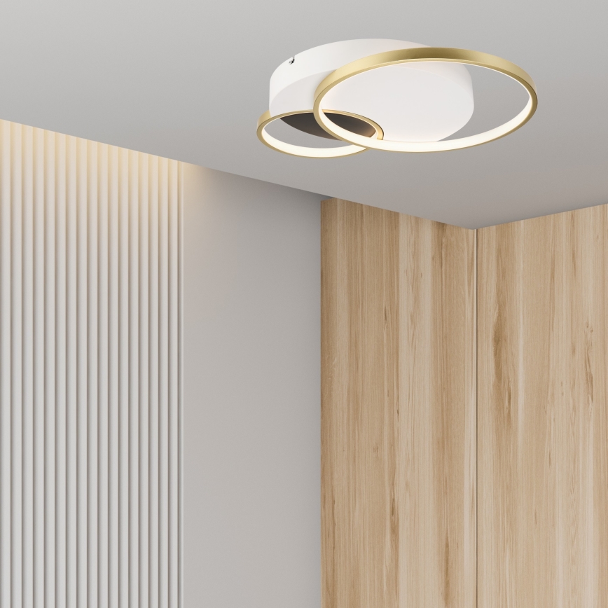 Loftlampe dæmpbar BENITO LED/31W/230V 3000-6500K hvid/guldfarvet