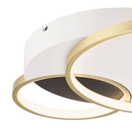 Loftlampe dæmpbar BENITO LED/31W/230V 3000-6500K hvid/guldfarvet