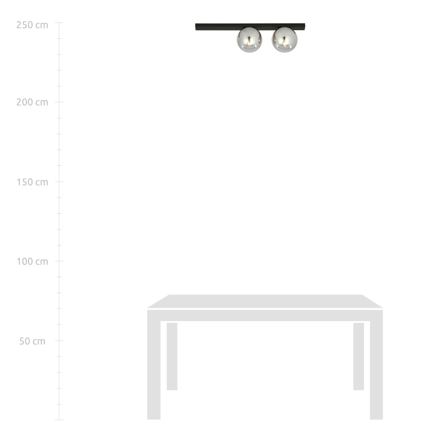 Loftlampe FIT 2xE14/10W/230V sort/grå