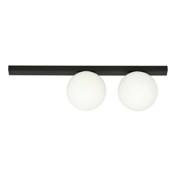Loftlampe FIT 2xE14/10W/230V sort/hvid
