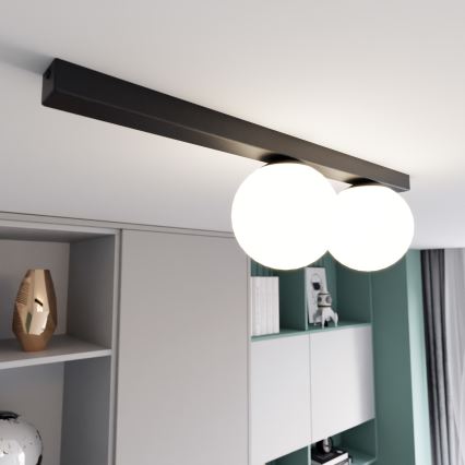 Loftlampe FIT 2xE14/10W/230V sort/hvid