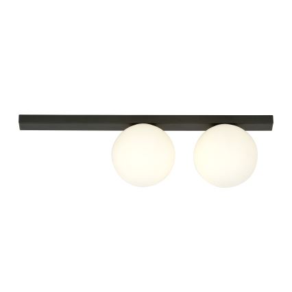 Loftlampe FIT 2xE14/10W/230V sort/hvid