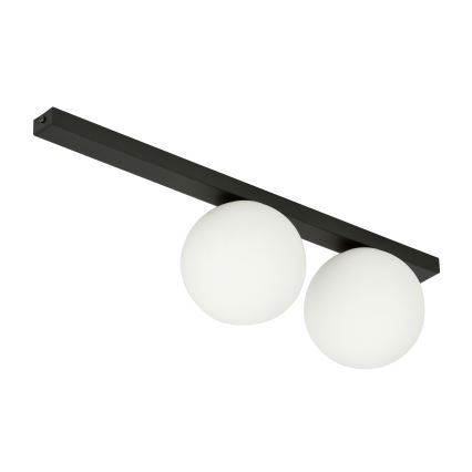 Loftlampe FIT 2xE14/10W/230V sort/hvid