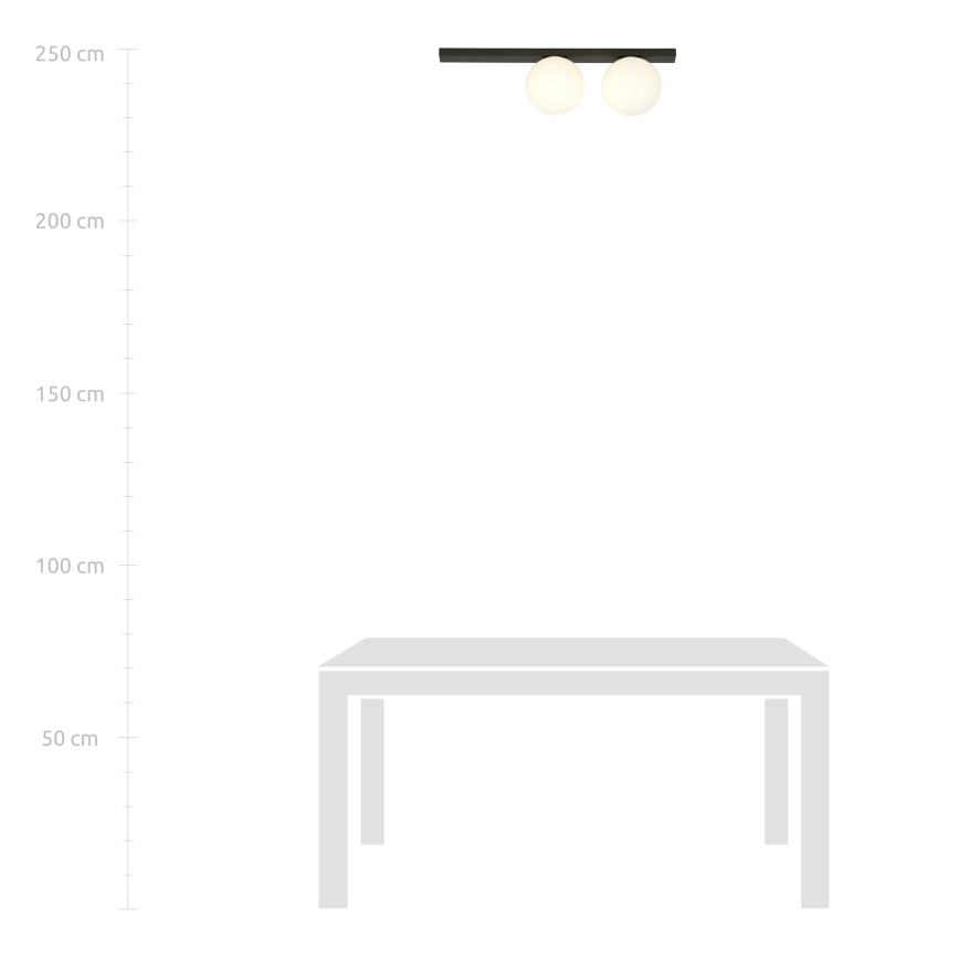 Loftlampe FIT 2xE14/10W/230V sort/hvid