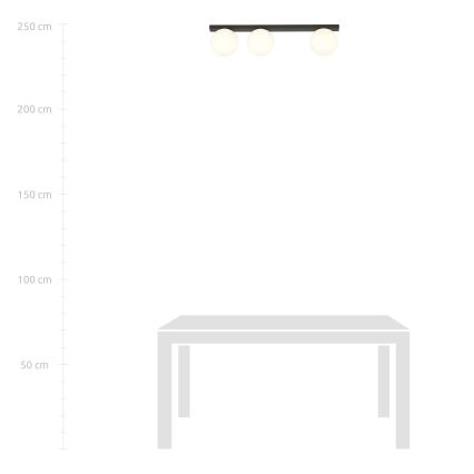 Loftlampe FIT 3xE14/10W/230V sort/hvid