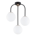 Loftlampe GAMMA 3xE14/10W/230V sort/guldfarvet