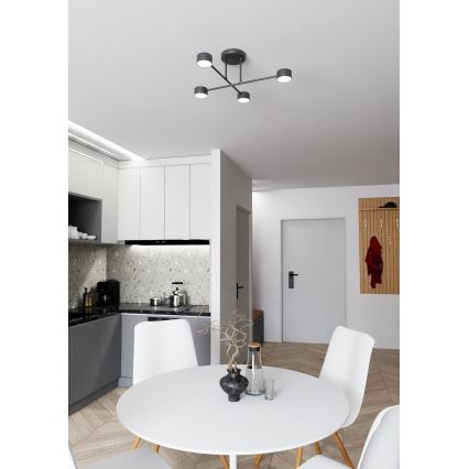 Loftlampe HALO 4xGX53/10W/230V sort