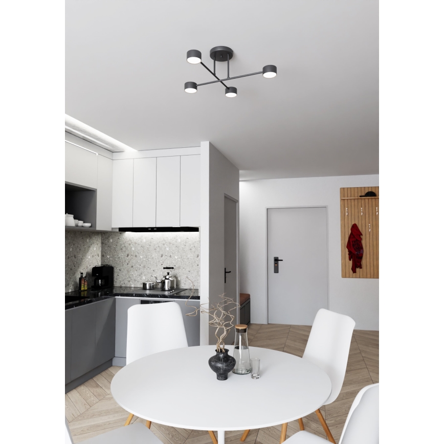 Loftlampe HALO 4xGX53/10W/230V sort