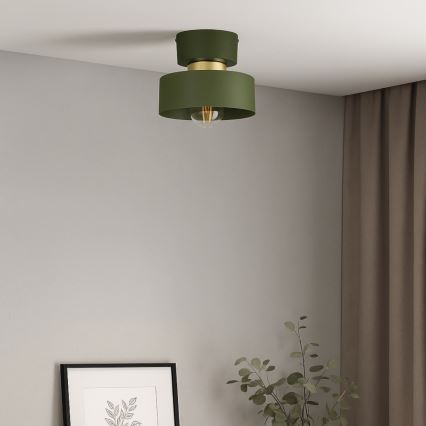 Loftlampe IGNIA 1xE27/60W/230V grøn