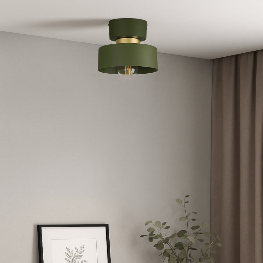 Loftlampe IGNIA 1xE27/60W/230V grøn