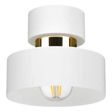 Loftlampe IGNIA 1xE27/60W/230V hvid
