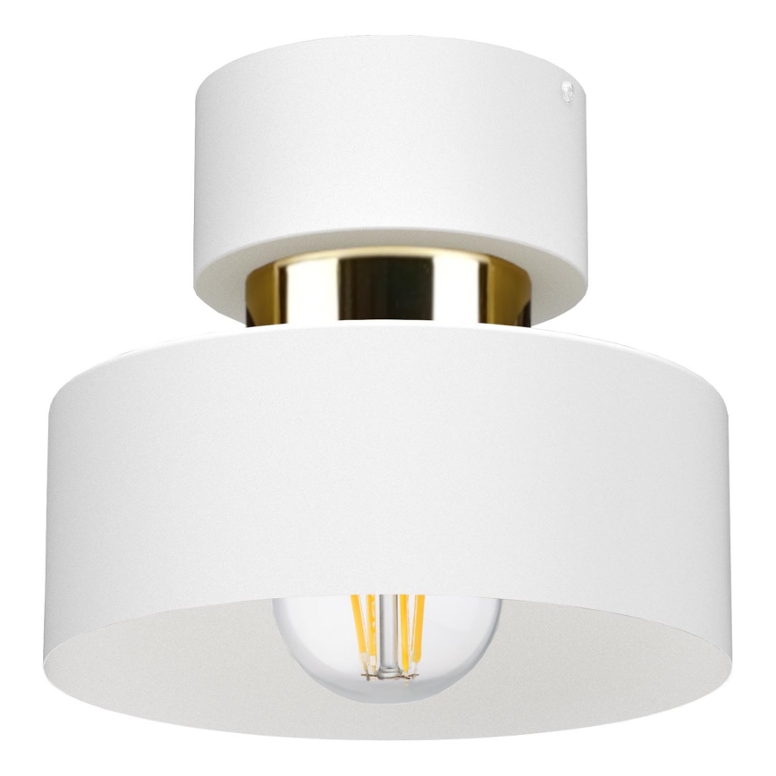 Loftlampe IGNIA 1xE27/60W/230V hvid