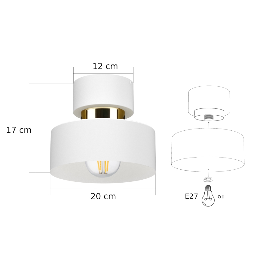 Loftlampe IGNIA 1xE27/60W/230V hvid