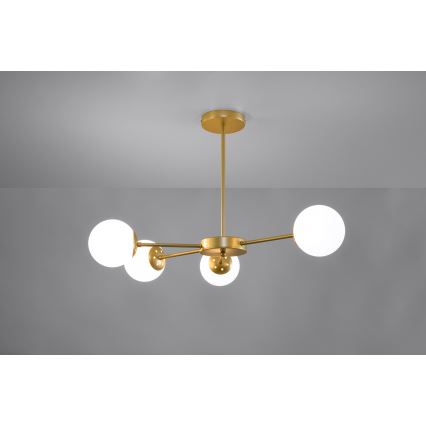 Loftlampe MATI 4xG9/20W/230V guldfarvet