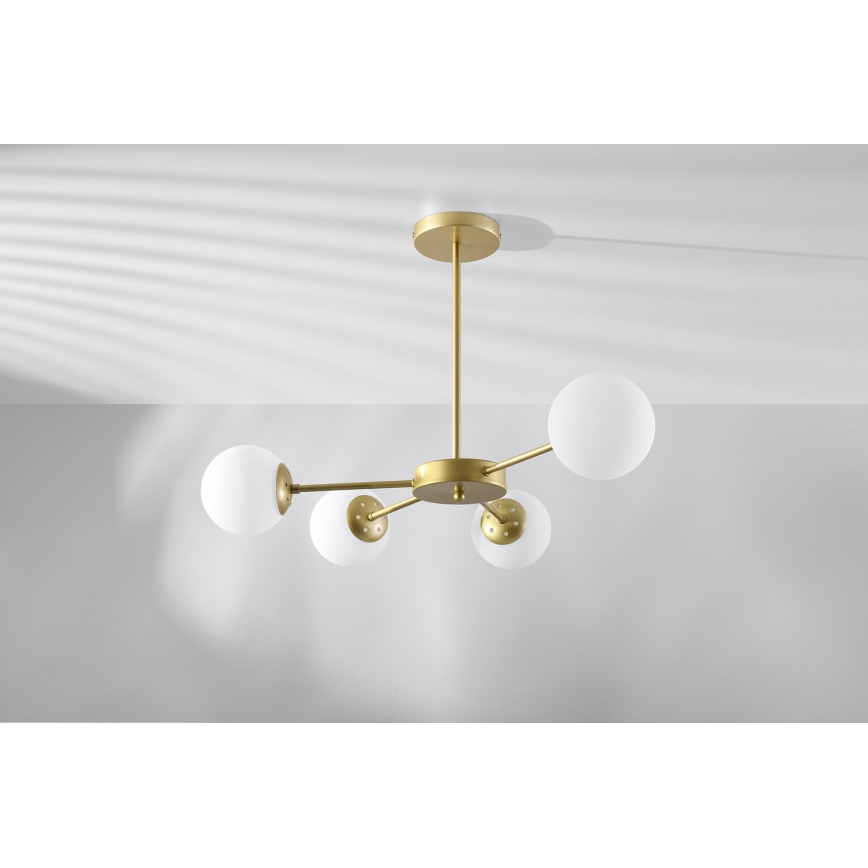 Loftlampe MATI 4xG9/20W/230V guldfarvet