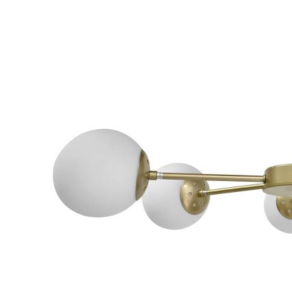 Loftlampe MATI 4xG9/20W/230V guldfarvet