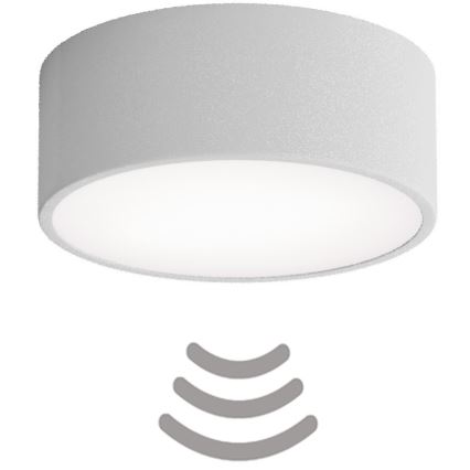 Loftlampe med bevægelses- og skumringssensor CLEO 1xE27/40W/230V Ø 20 cm grå
