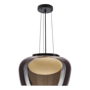 Loftlampe med wireophæng INSIEME 1xGX53/10W/230V Ø 38 cm røgfarvet sort