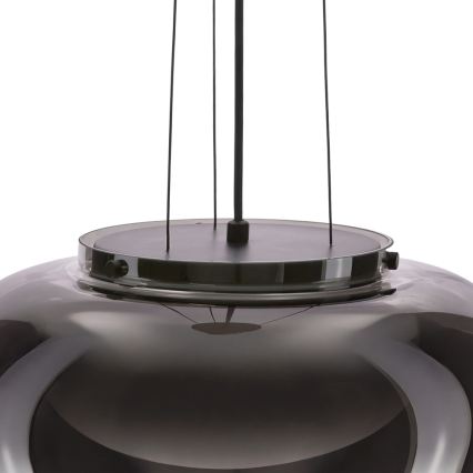 Loftlampe med wireophæng INSIEME 1xGX53/10W/230V Ø 38 cm røgfarvet sort