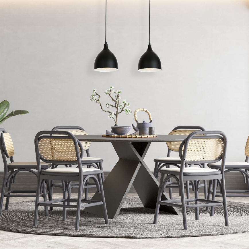 Loftlampe på kabel NOAK 2xE27/15W/230V sort