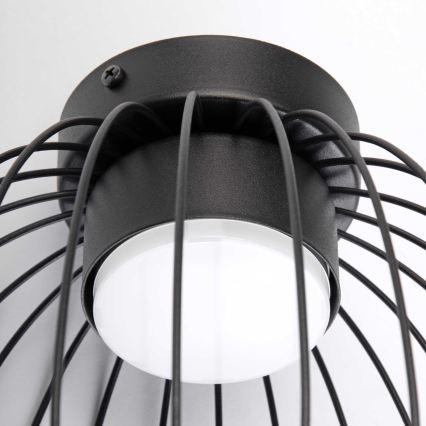 Loftlampe OVELLA 1xGX53/10W/230V Ø 25 cm sort