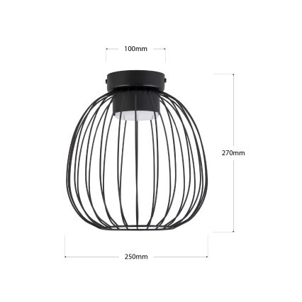 Loftlampe OVELLA 1xGX53/10W/230V Ø 25 cm sort
