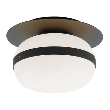 Loftlampe PALMA 1xE27/40W/230V sort