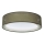 Loftlampe PURO 2xE27/40W/230V Ø 50 cm grøn