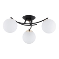 Loftlampe SAVI 3xE14/10W/230V sort/guldfarvet
