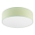 Loftlampe SIRJA PASTEL 2xE27/15W/230V Ø 45 cm grøn