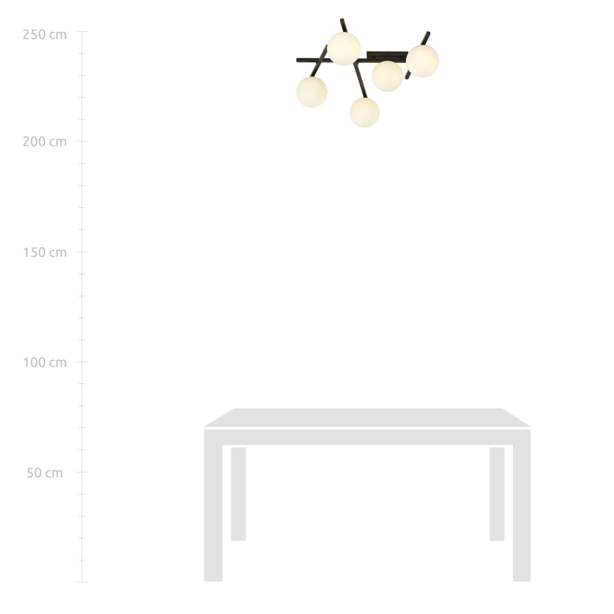 Loftlampe SMART 5xE14/10W/230V sort/hvid