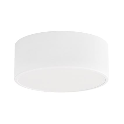 Loftlampe til badeværelse CLEO 1xE27/24W/230V diameter 20 cm hvid IP54