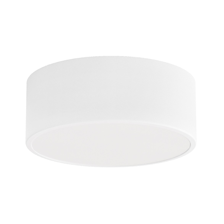 Loftlampe til badeværelse CLEO 1xE27/24W/230V diameter 20 cm hvid IP54