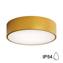 Loftlampe til badeværelse CLEO 2xE27/24W/230V diam. 30 cm guldfarvet IP54