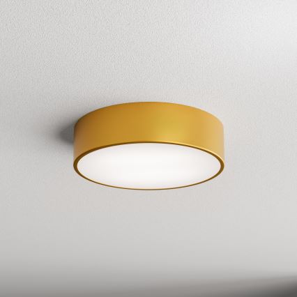 Loftlampe til badeværelse CLEO 2xE27/24W/230V diam. 30 cm guldfarvet IP54