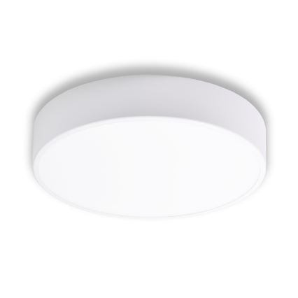 Loftlampe til badeværelse CLEO 3xE27/24W/230V diam. 40 cm hvid IP54