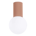 Loftlampe til badeværelse HALO 1xG9/8W/230V diameter 12 cm IP44 brun