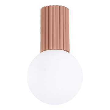 Loftlampe til badeværelse HALO 1xG9/8W/230V diameter 12 cm IP44 brun
