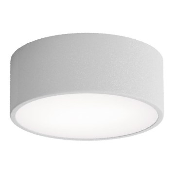 Loftlampe til badeværelset med sensor CLEO, 1xE27/24W/230V, Ø 20 cm, IP54, grå