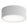 Loftlampe til badeværelset med sensor CLEO, 1xE27/24W/230V, Ø 20 cm, IP54, grå