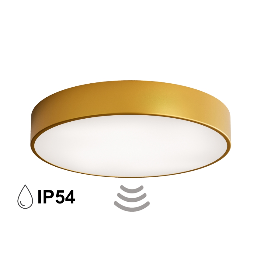 Loftlampe til badeværelset med sensor CLEO 4x E27 / 24 W / 230 V Ø 50 cm IP54 i guld