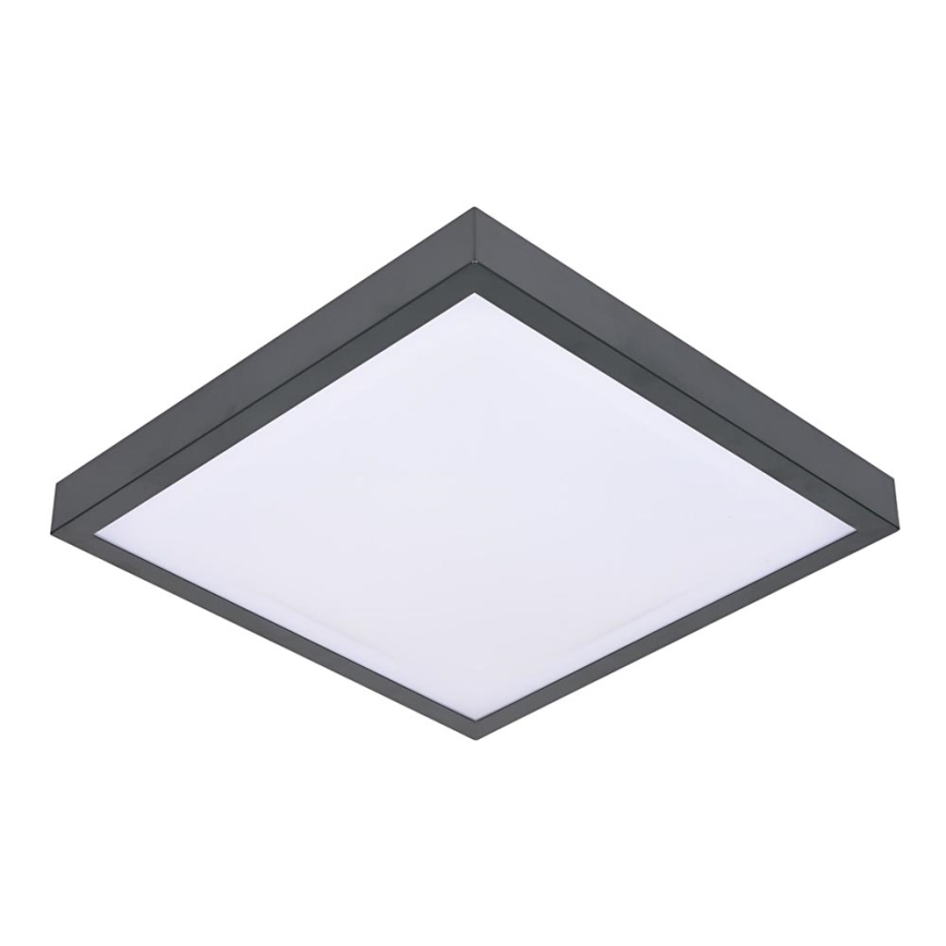 Loftlampe VITAL 2xE27/60W/230V antracit