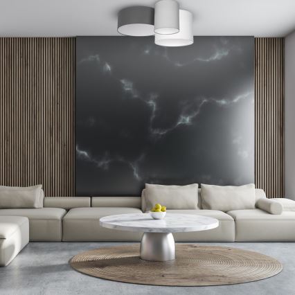 Lofts lys STAN 3xE27/60W/230V