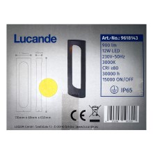 Lucande - LED udendørslampe FENTI LED/12W/230V IP65