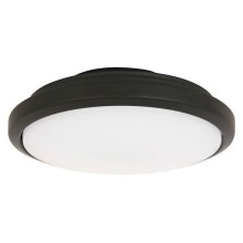 Lucci air 210644 - Lampe til ventolator CLIMATE III 1xGX53/12W/230V