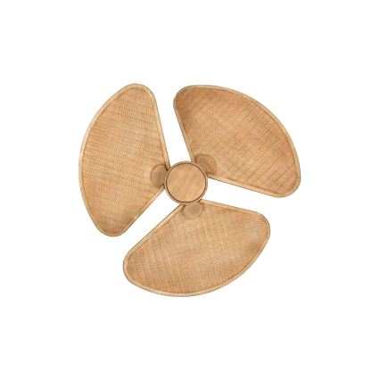 Lucci Air 21325549 - LED-dæmpbar loftventilator SABLE 1xGX53/12W/230V 3000/4000/5000K Ø 91,5 cm brun + fjernbetjening