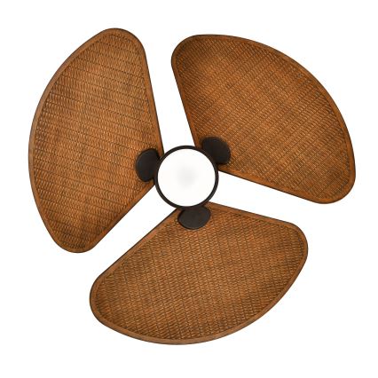 Lucci Air 51325649 - LED-dæmpbar loftventilator SABLE 1xGX53/12W/230V 3000/4000/5000K Ø 91,5 cm brun + fjernbetjening