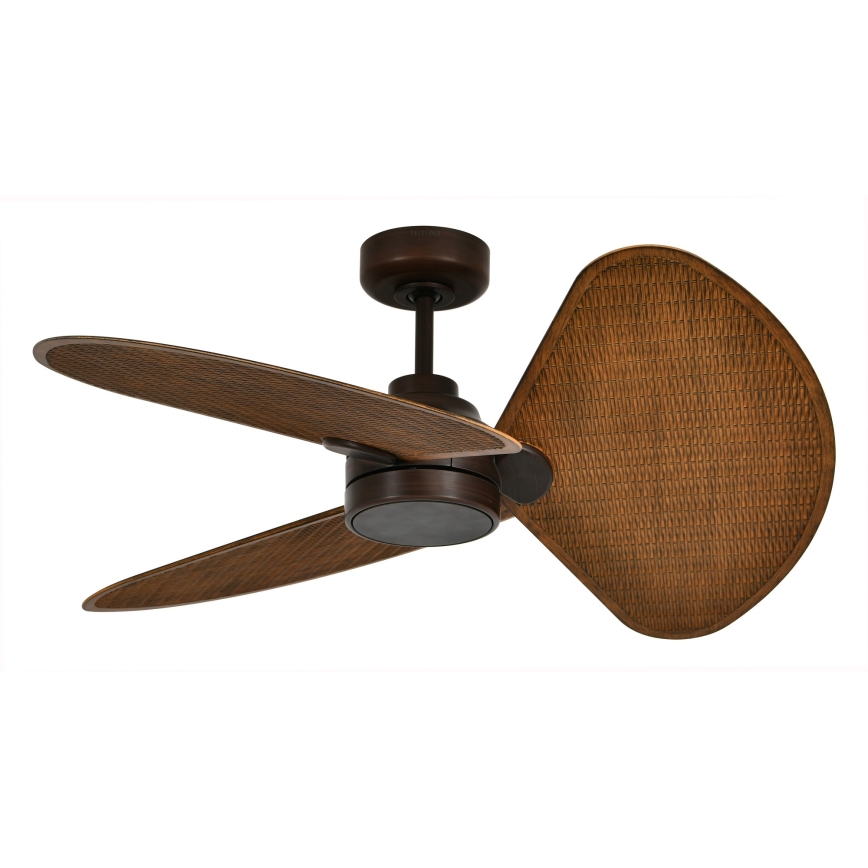 Lucci Air 51325649 - LED-dæmpbar loftventilator SABLE 1xGX53/12W/230V 3000/4000/5000K Ø 91,5 cm brun + fjernbetjening