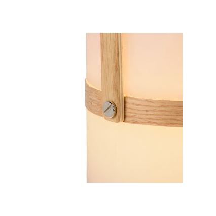 Lucide 06800/03/31 - LED udendørslampe dæmpbar JOE LED/3W/3,7V 680mAh IP44