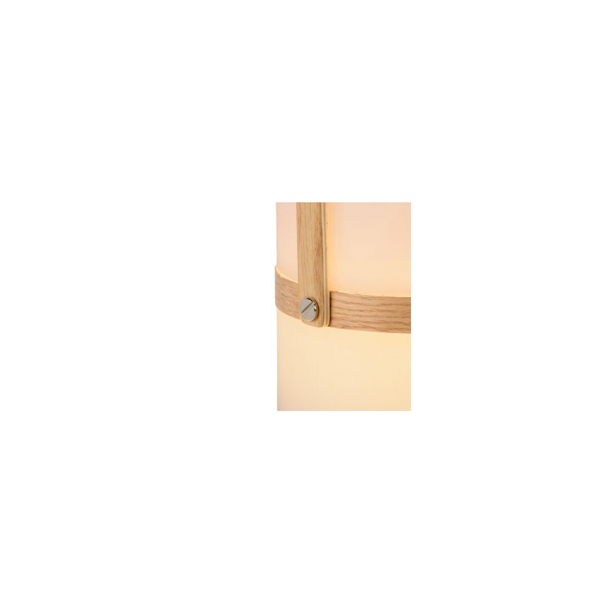 Lucide 06800/03/31 - LED udendørslampe dæmpbar JOE LED/3W/3,7V 680mAh IP44